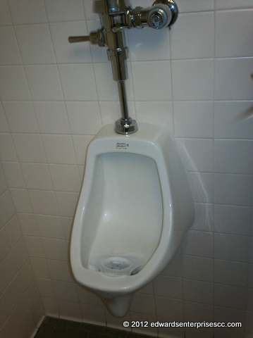 Urinal repair service
