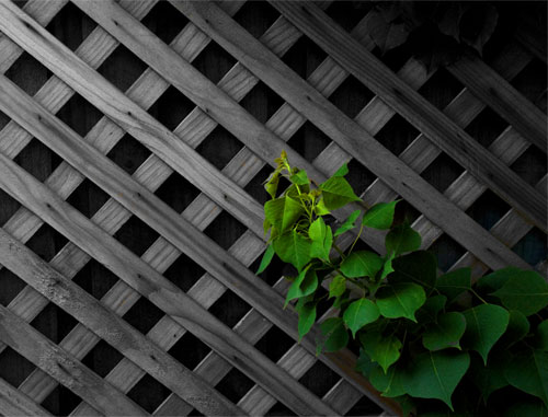 Lattice repairs and installations