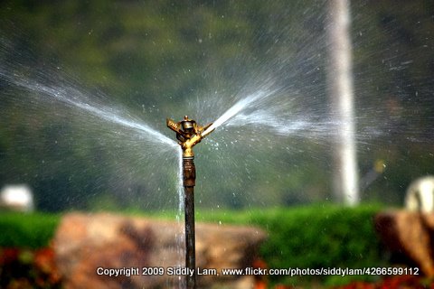 Outdoor Handyman Oxnard 93030, 93033 and 93035 Sprinkler Repairs and landscape repair