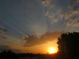 Photos from Santa Paula, CA