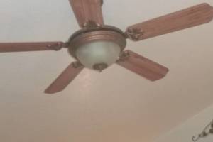 Electrical Ceiling Fan Replacements - Electrical