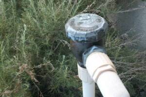 Landscaping Sprinkler Pressure Valve Replace - Landscaping
