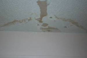 Painting Texture Drywall Ceiling Repairs - Painting