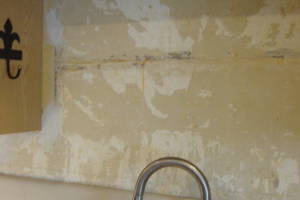 Painting Wallpaper Removal Home Paint - Painting