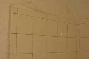 Plumbing Tub Shower Rot Damage Repairs - Plumbing