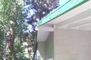 Carpentry Fascia Dryrot Refinish - Carpentry