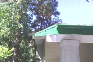 Carpentry Fascia Dryrot Refinish - Carpentry