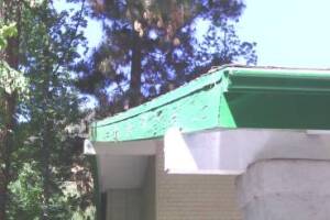 Carpentry Fascia Dryrot Refinish - Carpentry