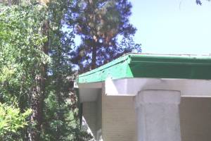 Carpentry Fascia Dryrot Refinish - Carpentry
