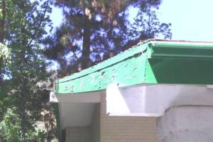 Carpentry Fascia Dryrot Refinish - Carpentry