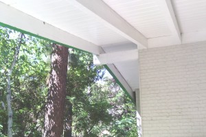 Carpentry Fascia Dryrot Refinish - Carpentry