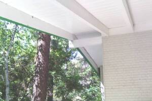 Carpentry Fascia Dryrot Refinish - Carpentry