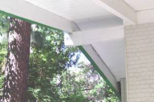 Carpentry Fascia Dryrot Refinish - Carpentry