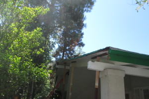 Carpentry Fascia Dryrot Refinish - Carpentry