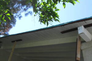 Carpentry Fascia Dryrot Refinish - Carpentry