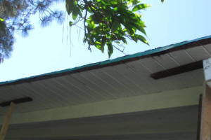 Carpentry Fascia Dryrot Refinish - Carpentry