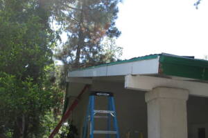 Carpentry Fascia Dryrot Refinish - Carpentry