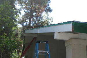 Carpentry Fascia Dryrot Refinish - Carpentry