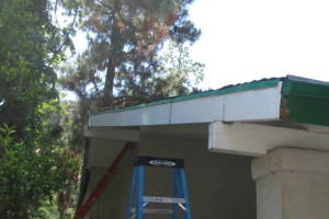 Carpentry Fascia Dryrot Refinish - Carpentry