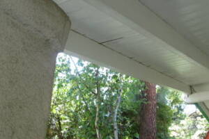 Carpentry Fascia Dryrot Refinish - Carpentry