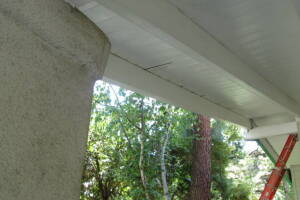 Carpentry Fascia Dryrot Refinish - Carpentry