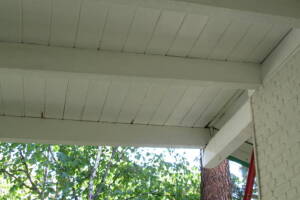 Carpentry Fascia Dryrot Refinish - Carpentry