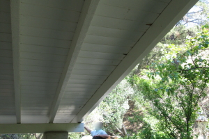 Carpentry Fascia Dryrot Refinish - Carpentry