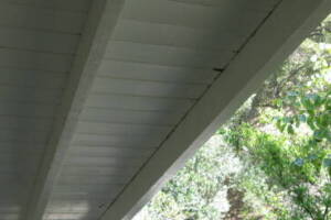 Carpentry Fascia Dryrot Refinish - Carpentry