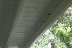 Carpentry Fascia Dryrot Refinish - Carpentry