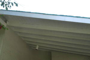 Carpentry Fascia Dryrot Refinish - Carpentry