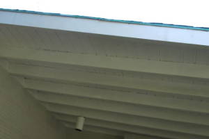 Carpentry Fascia Dryrot Refinish - Carpentry