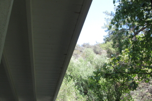 Carpentry Fascia Dryrot Refinish - Carpentry
