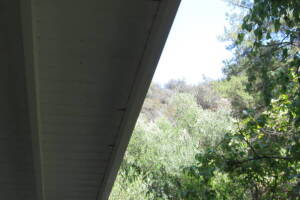 Carpentry Fascia Dryrot Refinish - Carpentry