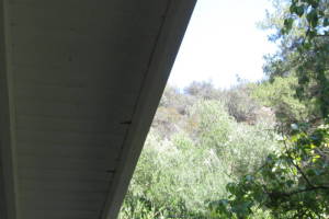 Carpentry Fascia Dryrot Refinish - Carpentry