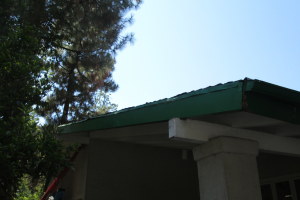 Carpentry Fascia Dryrot Refinish - Carpentry