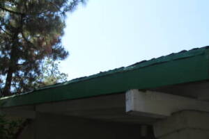 Carpentry Fascia Dryrot Refinish - Carpentry