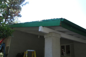Carpentry Fascia Dryrot Refinish - Carpentry
