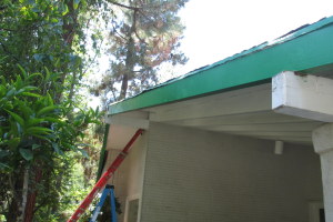 Carpentry Fascia Dryrot Refinish - Carpentry