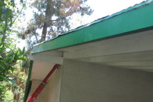 Carpentry Fascia Dryrot Refinish - Carpentry