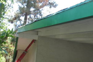 Carpentry Fascia Dryrot Refinish - Carpentry