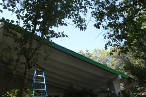 Carpentry Fascia Dryrot Refinish - Carpentry