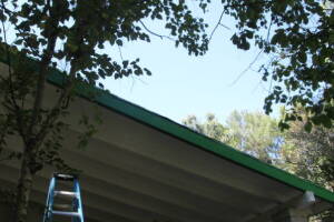 Carpentry Fascia Dryrot Refinish - Carpentry