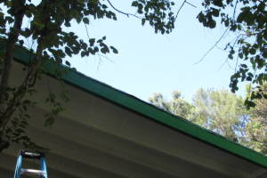 Carpentry Fascia Dryrot Refinish - Carpentry