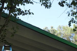 Carpentry Fascia Dryrot Refinish - Carpentry
