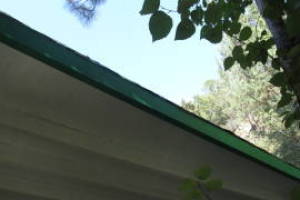 Carpentry Fascia Dryrot Refinish - Carpentry