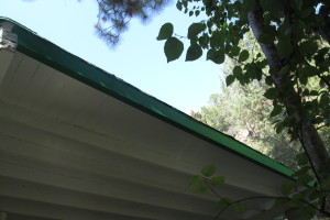 Carpentry Fascia Dryrot Refinish - Carpentry