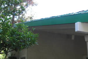 Carpentry Fascia Dryrot Refinish - Carpentry
