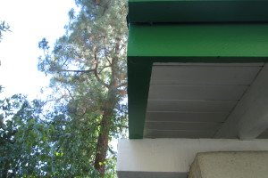 Carpentry Fascia Dryrot Refinish - Carpentry