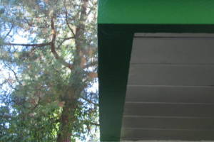 Carpentry Fascia Dryrot Refinish - Carpentry