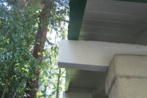 Carpentry Fascia Dryrot Refinish - Carpentry